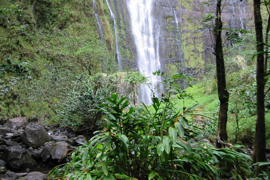 ../image/waimoku falls 3.jpg